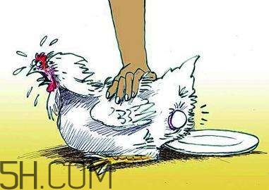 补脑需要什么,怎么样补脑