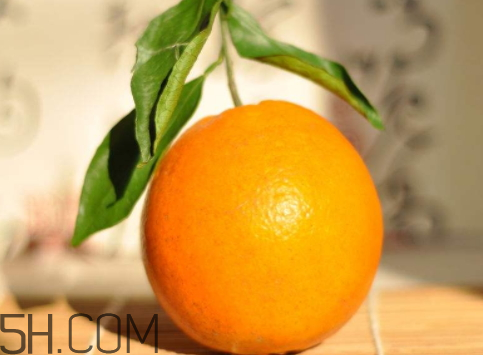 橙子的品种有哪些品种,橙子的品种排名