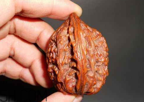 核桃仁的热量,干核桃的热量是多少