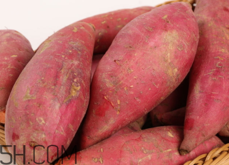 红薯白心好还是黄心好,红薯白心好还是黄心好吃