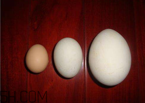 鹅蛋腌制盐和白酒比例,酒和盐腌制鹅蛋的做法