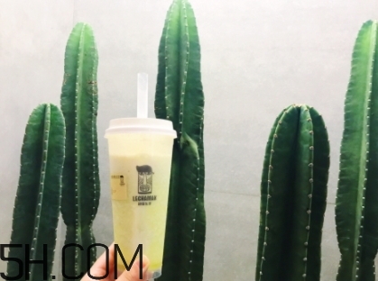 脏脏包哪里有卖,脏脏包在哪里可以买到 脏脏包哪里有卖,脏脏包在哪里可以买到