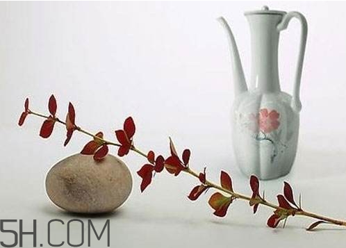 十斤白酒放多少冰糖好,十斤白酒放多少冰糖和枸杞为宜