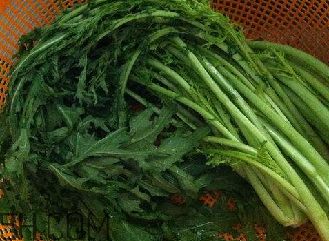 雪里红腌制多长时间,雪里红什么季节腌制