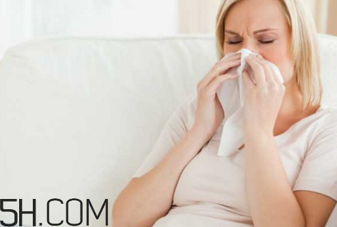 吃狗肉的禁忌什么水果,吃狗肉的禁忌人群