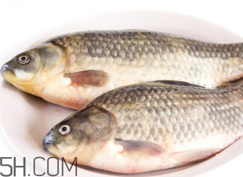 鲤鱼放冰箱可以放多久,鲤鱼可以放冰箱里冷冻吗