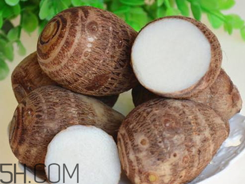 毛芋头的营养价值及功效和作用,芋头的营养和功效 毛芋头的营养价值及功效和作用,芋头的营养和功效