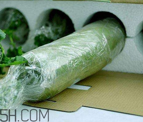 怎么区分沙窝萝卜和水果萝卜,沙窝萝卜怎么挑选