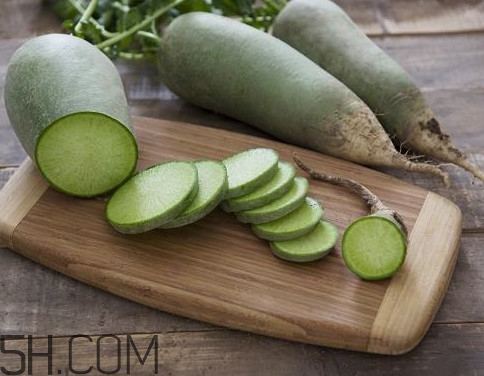 沙窝萝卜怎么种植,沙窝萝卜怎么种植视频