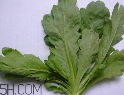 茼蒿有点苦可以吃吗,茼蒿有点苦可以吃吗 茼蒿苦味是怎么回事