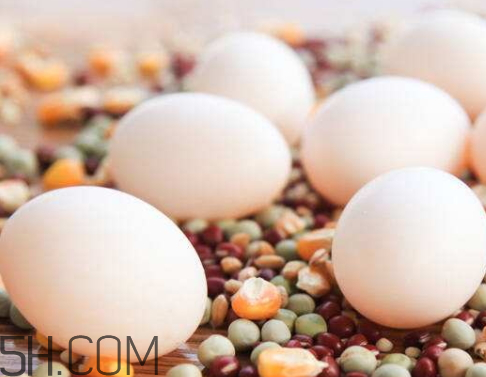 鸽子蛋变绿了怎么回事,鸽子蛋发绿是什么原因