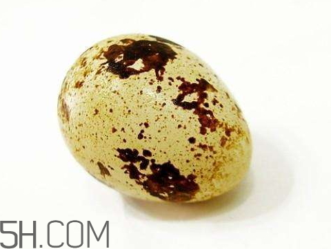 鹌鹑蛋是发物吗?,鹌鹑蛋是发物吗子宫肌瘤可以吃吗