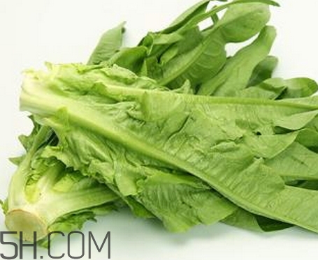 油麦菜的功效作用,油麦菜的功效作用和禁忌