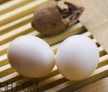 鸽子蛋怎么炖最营养价值,鸽子蛋怎么炖蛋羹