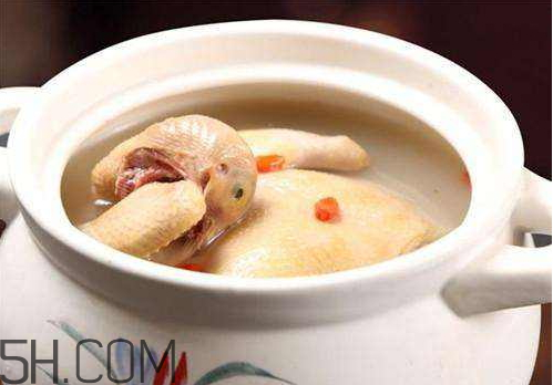 石斛老鸽汤做法,老鸽汤做法