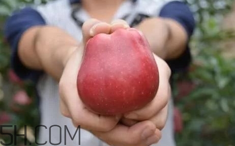 苹果花牛,正宗花牛苹果是什么样的