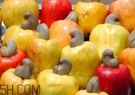 腰果梨怎么吃,腰果梨能吃吗