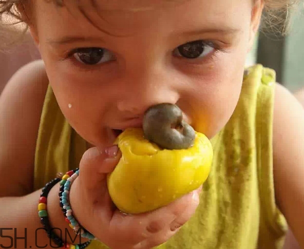 腰果果实能吃吗,腰果果肉能吃吗?