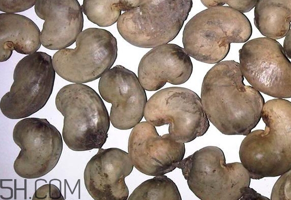 腰果不能和什么一起吃,腰果和什么相克,腰果有什么用