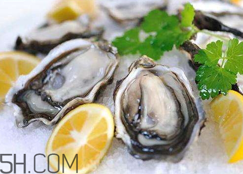 生蚝是什么东西,生蚝是什么样子图片