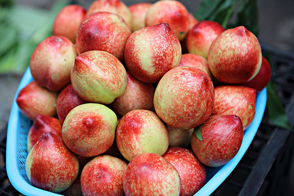 油桃可以榨汁喝吗(油桃可以榨汁喝吗)