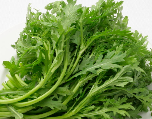 凉性的食物有哪些?,寒凉的食物有哪些?