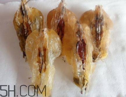 吃雪蛤的禁忌有哪些呢,雪蛤如何吃比较好