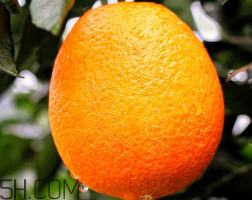 脐橙的作用和效果,赣南脐橙的作用和功效 脐橙的作用和效果,赣南脐橙的作用和功效