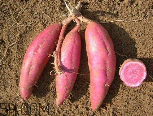 紫薯是什么食物,紫薯有什么好处