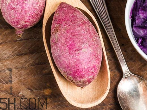 紫薯的生长环境,紫薯的生长环境特点