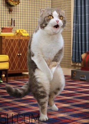 尿频尿急是怎么回事吃什么药最好,尿急.尿频怎么回事