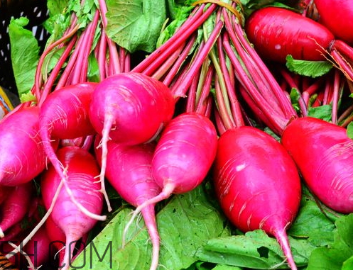 红萝卜的吃法大全,红萝卜的吃法和做法图片