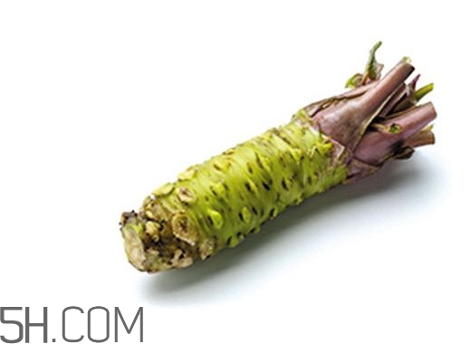 芥末长什么样子图片,芥末长什么样子