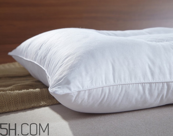 银杏叶做枕头有什么好处,用银杏叶做枕头有什么好处