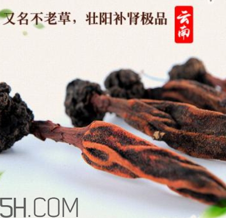 回春草功效和用法用和用量,回春草的用法用量