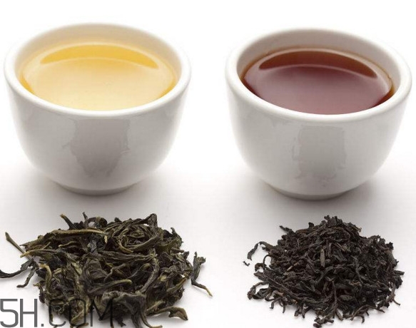 龙井茶是红茶还是绿茶,铁观音乌龙茶是红茶还是绿茶