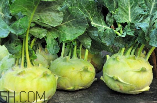 大头菜什么时候种植多少天收获,大头菜什么时候种植最好