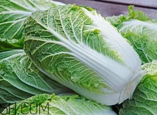 大白菜怎么做好吃的家常做法,大白菜怎么做好吃又简单