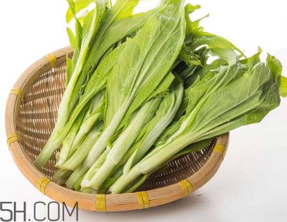 红菜苔和白菜苔区别,红菜苔好吃还是白菜苔好吃 红菜苔和白菜苔区别,红菜苔好吃还是白菜苔好吃