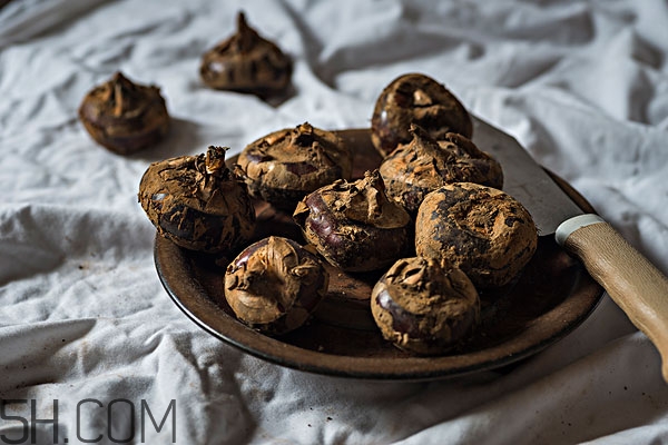 梨子和荸荠能一起煮吗,荸荠和梨一起煮的功效和作用