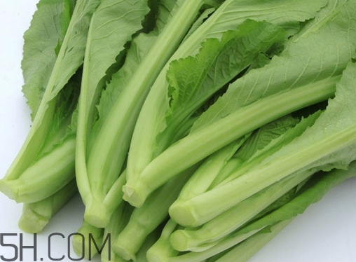 芥菜可以生吃不,芥菜是不是生菜