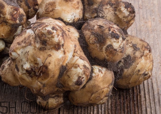 洋姜什么时候收获最好,洋姜什么时候收获最嫩 洋姜什么时候收获最好,洋姜什么时候收获最嫩