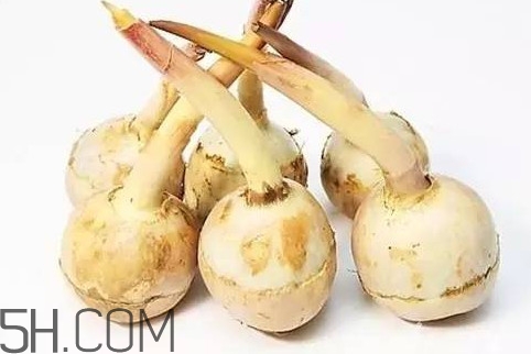 慈菇怎么保存时间长,新鲜香菇如何存放 慈菇怎么保存时间长,新鲜香菇如何存放