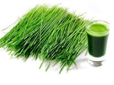 经络减肥法(通经络可以减肥吗)