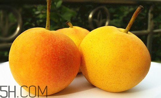 糖尿病可不可以吃南果梨,南果梨含糖量多少糖尿病人可以吃吗