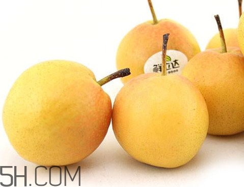 鞍山南果梨什么时候成熟,南果梨什么时候成熟可以摘?