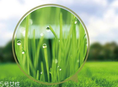 蜂蜜能减肥吗(蜂蜜能减肥吗?)