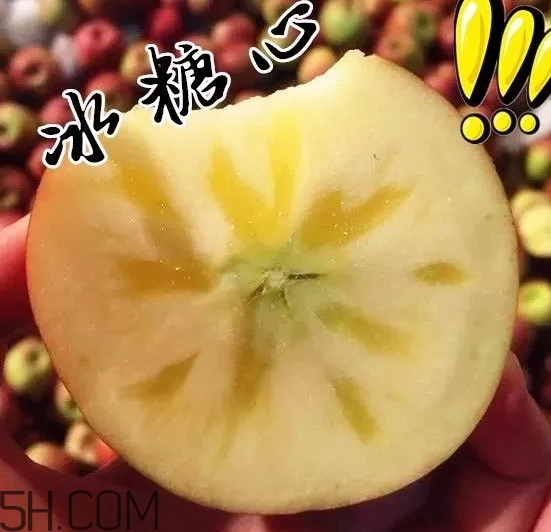 新疆阿克苏冰糖心苹果什么时候上市,冰糖心苹果什么时候上市