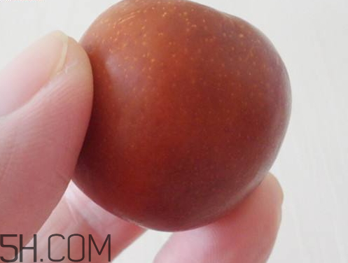 酒枣是什么枣,泡酒用什么枣比较好