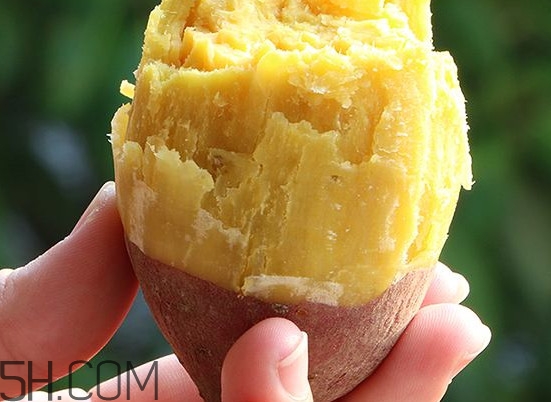 板栗红薯哪里产的最好,哪里产的板栗最好吃